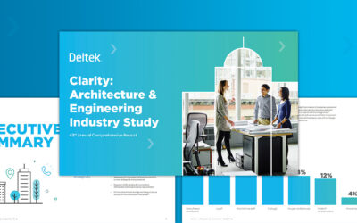 Deltek Clarity Report