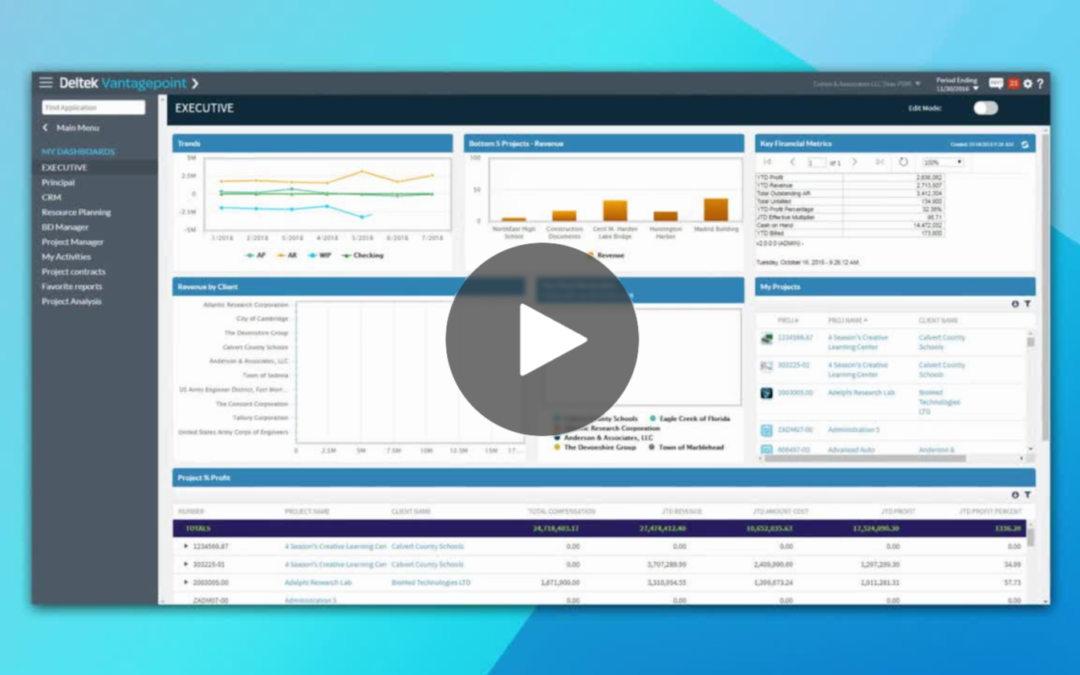 Deltek Vantagepoint: Accounting & Financial Management